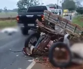 Idoso e cavalo morrem após colisão entre charrete e caminhonete no interior do PR