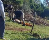 Presos fogem do DEPEN em Assis Chateaubriand levando viatura e escopetas