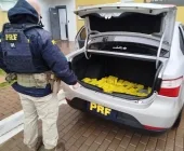 Homem é preso com quase 200 kg de maconha entre Toledo e Cascavel