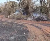 Incêndio em vegetação mobiliza bombeiros no interior de Quatro Pontes