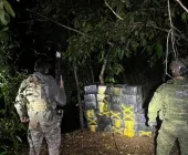 Mais de 600 kg de maconha são apreendidos em Altônia