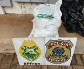 Polícia Federal e BPFron apreendem agrotóxicos contrabandeados em Guaíra