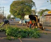 Prefeitura de Guaíra intensifica serviços de poda de árvores na cidade