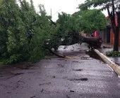 Temporal derruba árvores, deixa casas destelhadas e imóveis sem luz em Guaíra