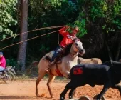 Encontro do Clube Amigos do Laço movimentou o fim de semana em Mercedes