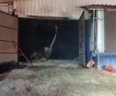 65 mil pintinhos morrem durante incêndio em aviário, no Paraná