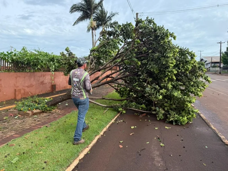 Temporal em Mercedes derruba árvores e causa destelhamentos