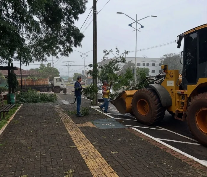 Após temporal, Prefeitura de Mercedes intensifica limpeza urbana e remoção de árvores