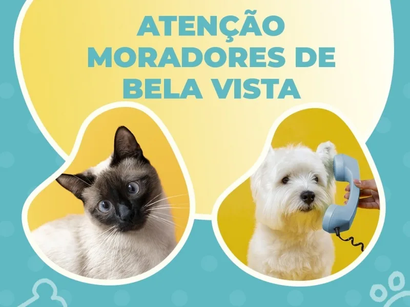 Prefeitura de Guaíra realiza cadastro para castração de cães e gatos em Bela Vista