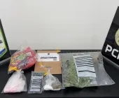 Operação Doce Ilusão prende homem que vendia drogas nas redes sociais em Guaíra
