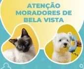 Prefeitura de Guaíra realiza cadastro para castração de cães e gatos em Bela Vista