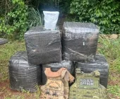 Polícia apreende mais de 200 kg de agrotóxicos contrabandeados em Mercedes
