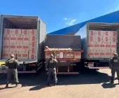 DOF apreende três caminhões carregados com cigarros na BR-163 em Mundo Novo