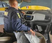 Policial militar é preso pela PRF transportando drogas em Guaíra