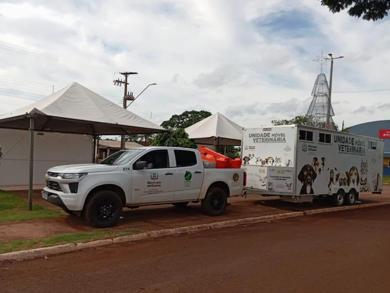 Guaíra realiza castrações de cães e gatos na Comunidade de Bela Vista