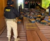 PRF apreende mais de 2,5 toneladas de maconha na BR-163 em Guaíra