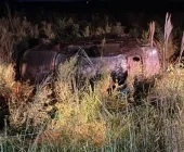 Homem morre em grave capotamento em estrada de Mundo Novo