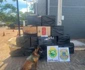 Polícia localiza cigarros paraguaios em mata no interior de Mercedes