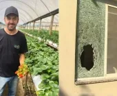 Prisões em Guaíra deram origem a operação policial que terminou em morte de agricultor no RS