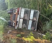 BR-163 tem trânsito pare e siga para remoção de carreta acidentada entre Mercedes e Guaíra