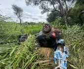Carro carregado com cigarros capota em fuga da PRF em Guaíra
