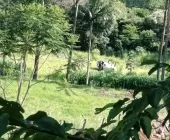 Helicóptero Falcão 13 da PM cai durante ação policial na região