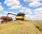 300 produtores rurais de Mercedes estão em débito com a entrega de notas fiscais de produtos