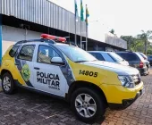 Pitbull é resgatado em situação de maus-tratos dentro de residência em Guaíra