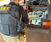 Adolescente é apreendido em Guaíra transportando 300 kg de agrotóxicos contrabandeados