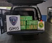 GM de Guaíra e BPFRON localizam fardos de maconha em trilha que leva ao Rio Paraná