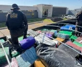 Polícia apreende droga avaliada em R$ 24 milhões em Mundo Novo