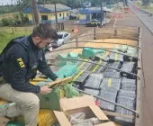 PRF apreende carrreta carregada com maconha na BR-163