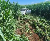 Carro com casal de idosos capota na BR-163 entre Guaíra e Mercedes