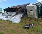 Bitrem com 50 toneladas de fertilizante tomba na BR-163 e deixa motorista ferido