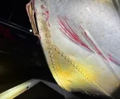Marinha de Guaíra divulga nota sobre acidente de barco com dois mortos no Rio Paraná