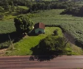 Oportunidade! Terreno grande ao lado do asfalto para Arroio Guaçu!