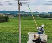 Produtores rurais do Paraná passam a ter canal exclusivo de atendimento da Copel