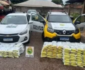 Homem é preso com mais de 300 kg de agrotóxicos contrabandeados em Terra Roxa