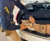PRF prende contrabandista que tentou se esconder em conveniência de posto na BR-163 em Guaíra