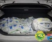 Herbicidas contrabandeados são apreendidos em abordagem na PR-364 em Terra Roxa