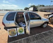 Três carros e barco com cigarros são apreendidos no interior de Mercedes