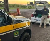 Motorista de aplicativo é preso com mais de 90 quilos de maconha em Marechal Rondon