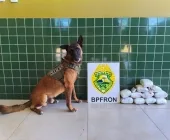 Passageira de carro de aplicativo é presa em Guaíra transportando haxixe