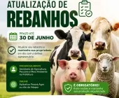 Produtores têm até 30 de junho para atualizar cadastro de rebanhos