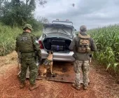 Motorista abandona carro com 300 quilos de maconha após fuga no interior de Guaíra