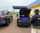 PRF apreende 485 Kg de maconha na BR-163 em Mundo Novo