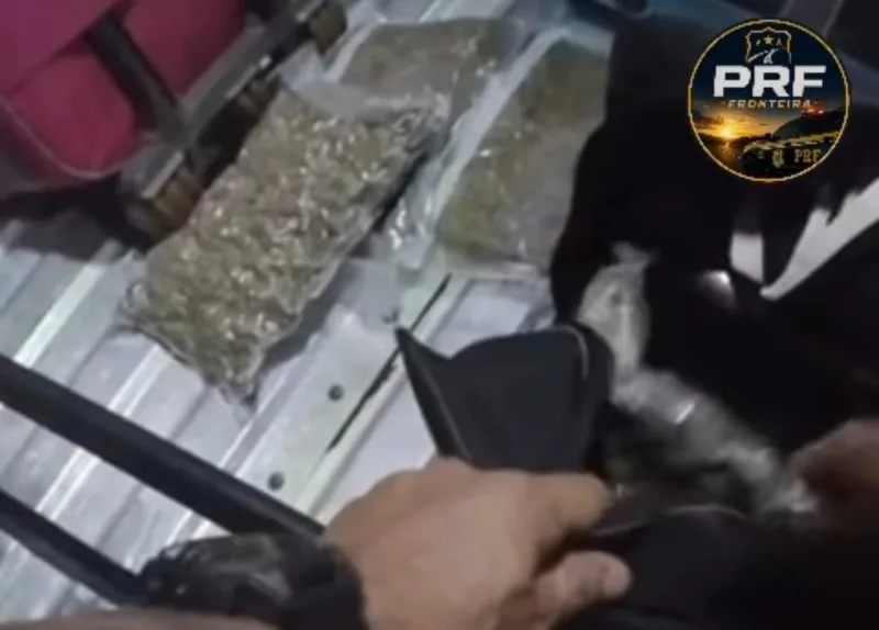 Mulher é presa com skunk e haxixe em ônibus na BR-163, em Guaíra