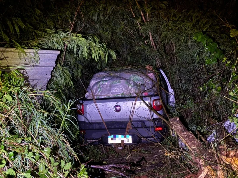 Carro sai da pista e invade área de mata na BR-163 em Mercedes