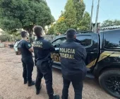 PF de Guaíra deflagra operação contra o abuso sexual infantojuvenil