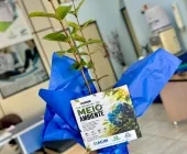 ACIM celebra o Dia Mundial do Meio Ambiente com entrega de mudas de árvores aos associados
